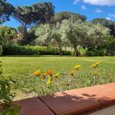 كالا ليبيروتو Villa La Conchiglia Rooms المظهر الخارجي الصورة