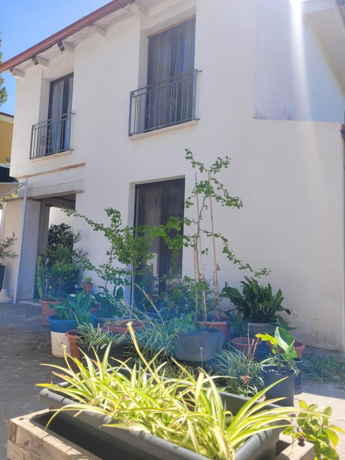 كالا ليبيروتو Villa La Conchiglia Rooms المظهر الخارجي الصورة
