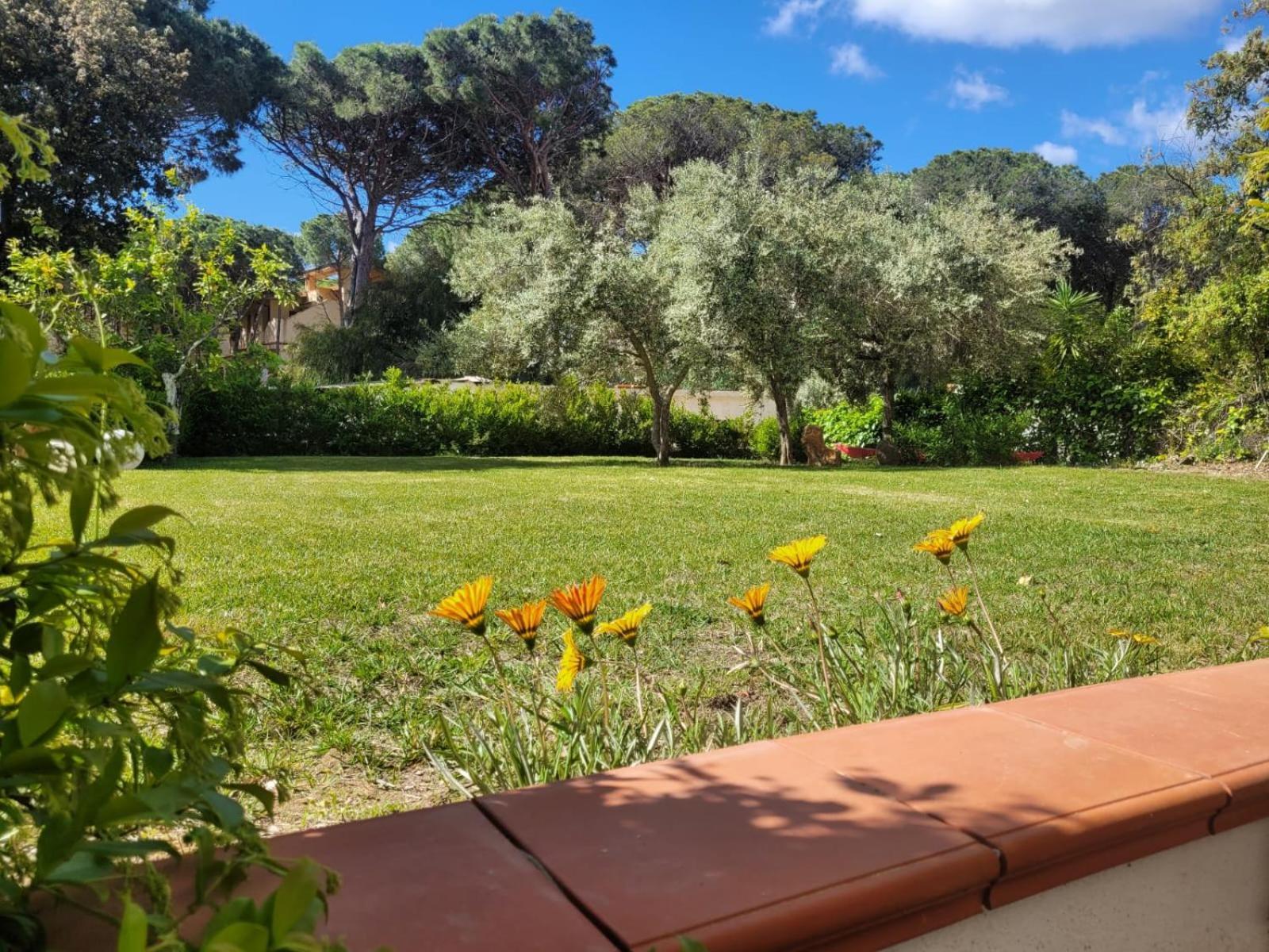كالا ليبيروتو Villa La Conchiglia Rooms المظهر الخارجي الصورة